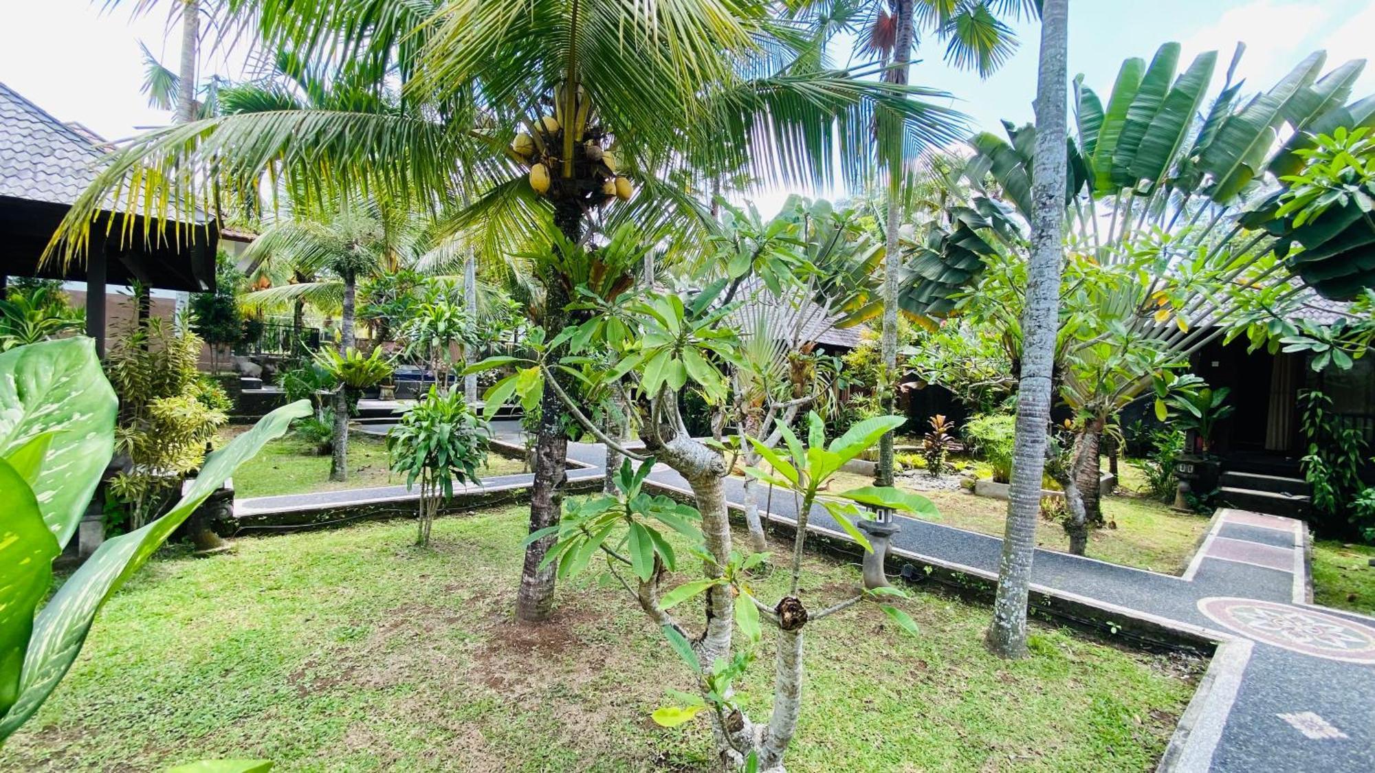 Dong Loka Guesthouse Bali Carangsari ภายนอก รูปภาพ